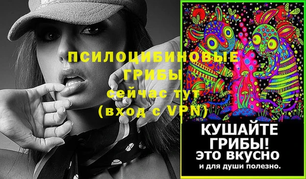 ГАЛЛЮЦИНОГЕННЫЕ ГРИБЫ Балабаново