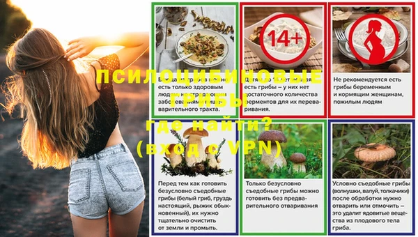 ГАЛЛЮЦИНОГЕННЫЕ ГРИБЫ Балахна