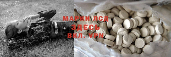 ГАЛЛЮЦИНОГЕННЫЕ ГРИБЫ Балабаново