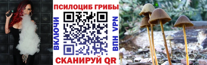 Псилоцибиновые грибы Psilocybe  Семилуки 